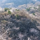 北京旅游 缩略图 7