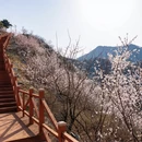 北京旅游 缩略图 11