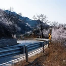 北京旅游 缩略图 14