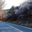 北京旅游 缩略图 15