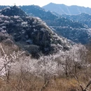 北京旅游 缩略图 16