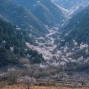 北京旅游 缩略图 18