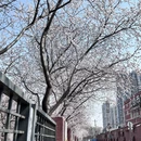 北京旅游 缩略图 2
