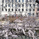北京旅游 缩略图 3