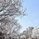 北京旅游 缩略图 8