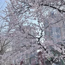 北京旅游 缩略图 9