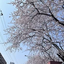 北京旅游 缩略图 10