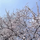 北京旅游 缩略图 1