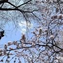 北京旅游 缩略图 6