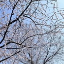 北京旅游 缩略图 14