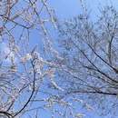 北京旅游 缩略图 12