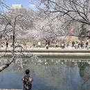 北京旅游 缩略图 11