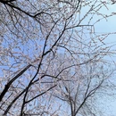 北京旅游 缩略图 13