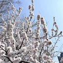 北京旅游 缩略图 16