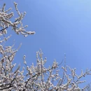 北京旅游 缩略图 15