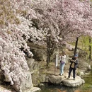 北京旅游 缩略图 5