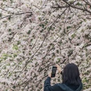 北京旅游 缩略图 7
