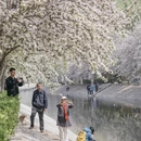 北京旅游 缩略图 10