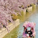 北京旅游 缩略图 13