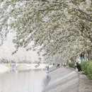 北京旅游 缩略图 12