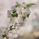 北京旅游 缩略图 11