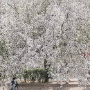 北京旅游 缩略图 9