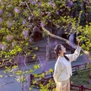 北京旅游 缩略图 5
