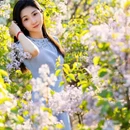 北京旅游 缩略图 7