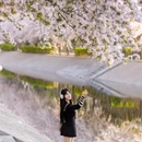 北京旅游 缩略图 10