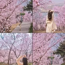 北京旅游 缩略图 3