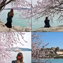 北京旅游 缩略图 2