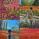 北京旅游 缩略图 8