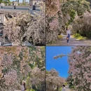北京旅游 缩略图 15