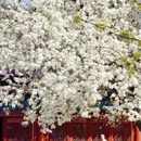 北京旅游 缩略图 4