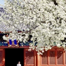 北京旅游 缩略图 2