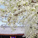 北京旅游 缩略图 5
