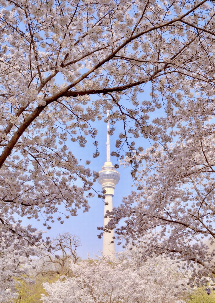 北京旅游