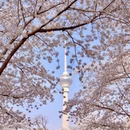 北京旅游 缩略图 1