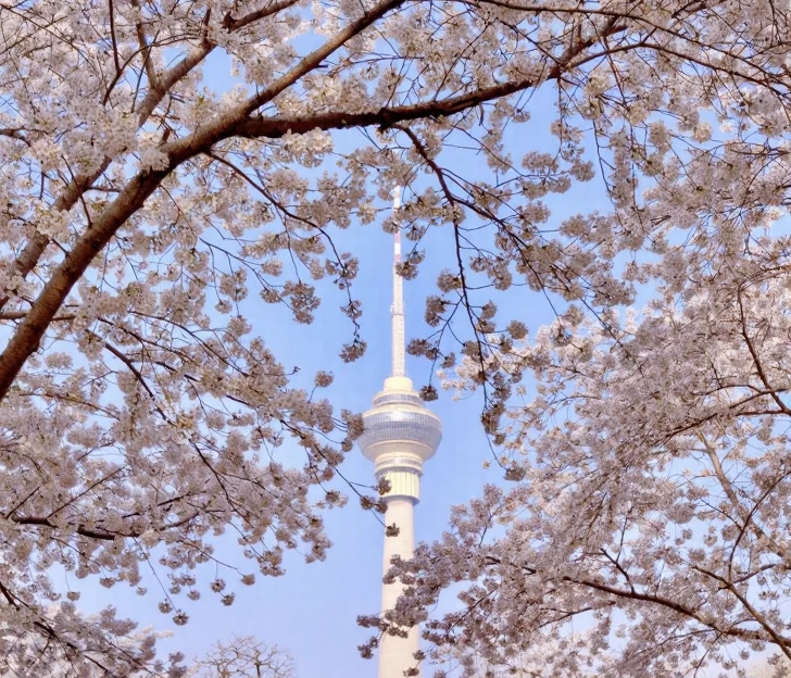 北京旅游 1