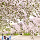 北京旅游 缩略图 12