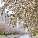 北京旅游 缩略图 15