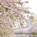 北京旅游 缩略图 14