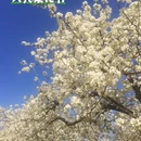 北京旅游 缩略图 3