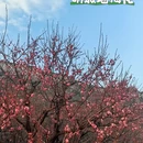 北京旅游 缩略图 6