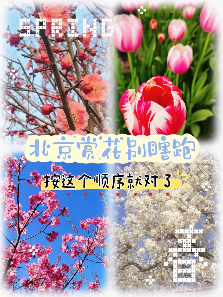 北京旅游