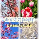 北京旅游 缩略图 1