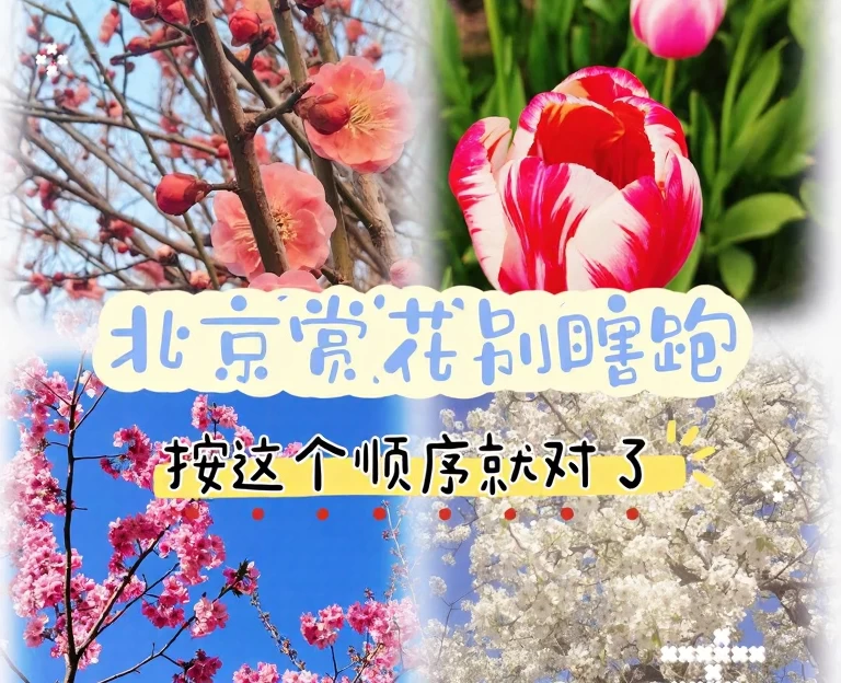 北京旅游 1