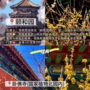 北京旅游 缩略图 3