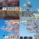 北京旅游 缩略图 8