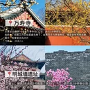 北京旅游 缩略图 4